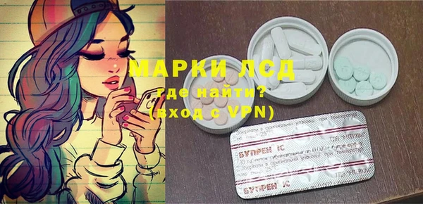 apvp Бородино
