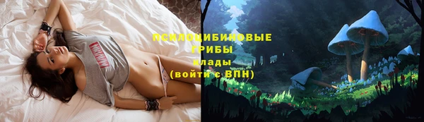 apvp Бородино
