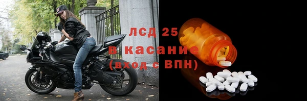 apvp Бородино
