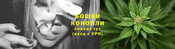 apvp Бородино