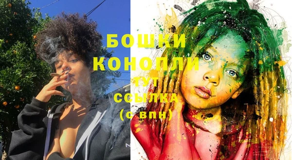 apvp Бородино
