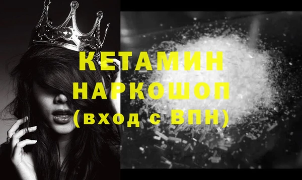 трава Белокуриха