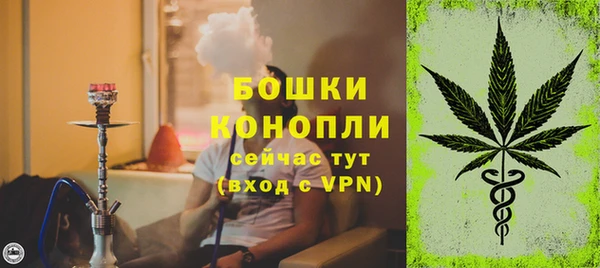 apvp Бородино